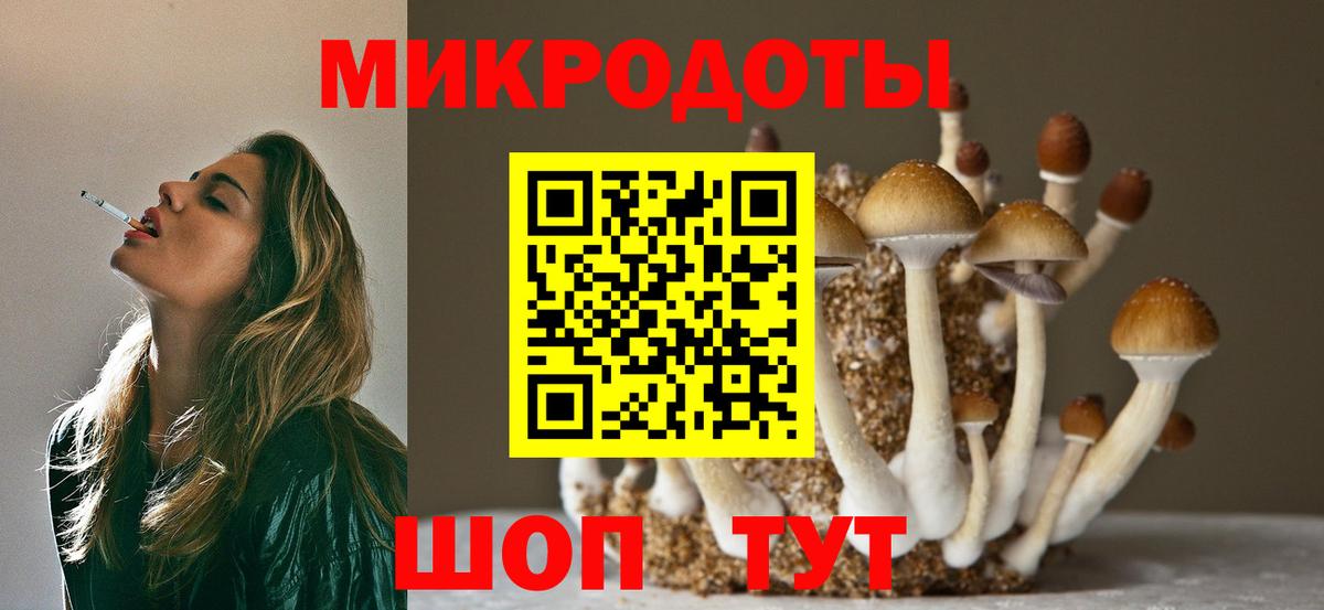 Горно-Алтайск  Псилоцибиновые грибы прущие грибы  Вход с VPN 