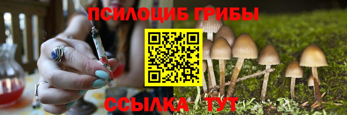 Галлюциногенные грибы ЛСД Горно-Алтайск